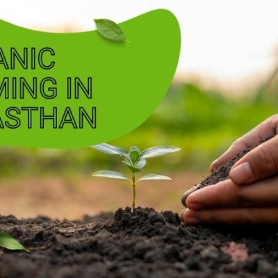 Organic Farming in Rajasthan