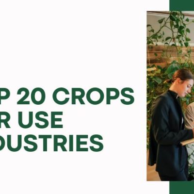 Top 20 Crops for use industries
