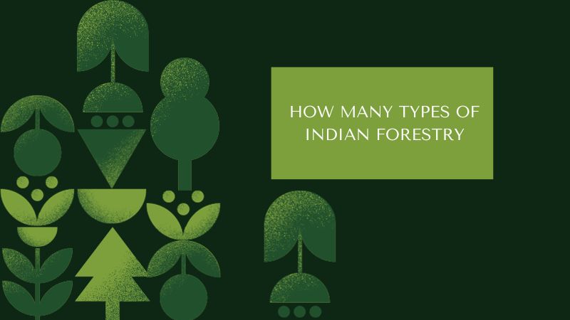 HOW MANY TYPES OF INDIAN FORESTRY