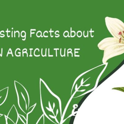 Interesting Facts about INDIAN AGRICULTURE