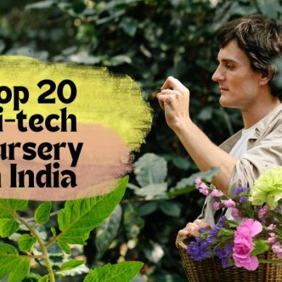 Top 20 Hi-tech Nursery In India