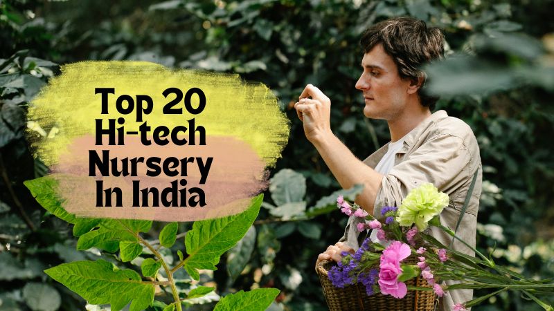 Top 20 Hi-tech Nursery In India