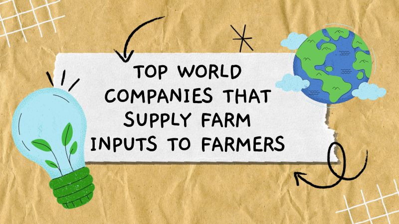 Top World companies that supply farm inputs to farmers
