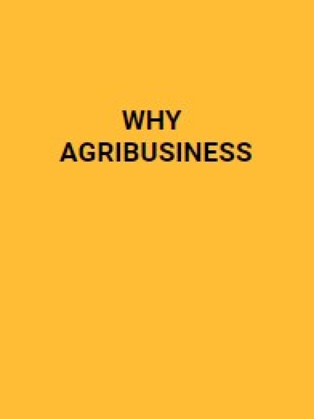 WHY AGRIBUSINESS