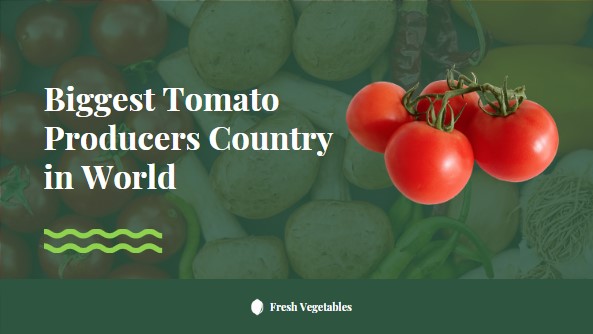 Biggest Tomato Producers Country in World