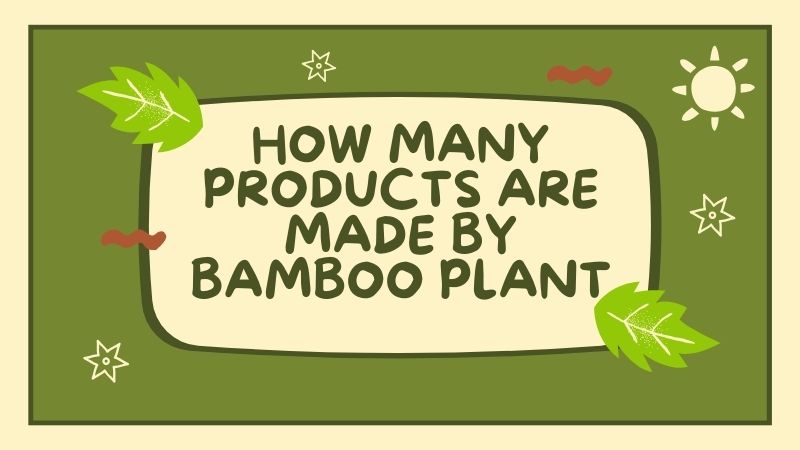 How Many Products Are Made by Bamboo Plant