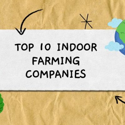 Top 10 Indoor Farming Companies