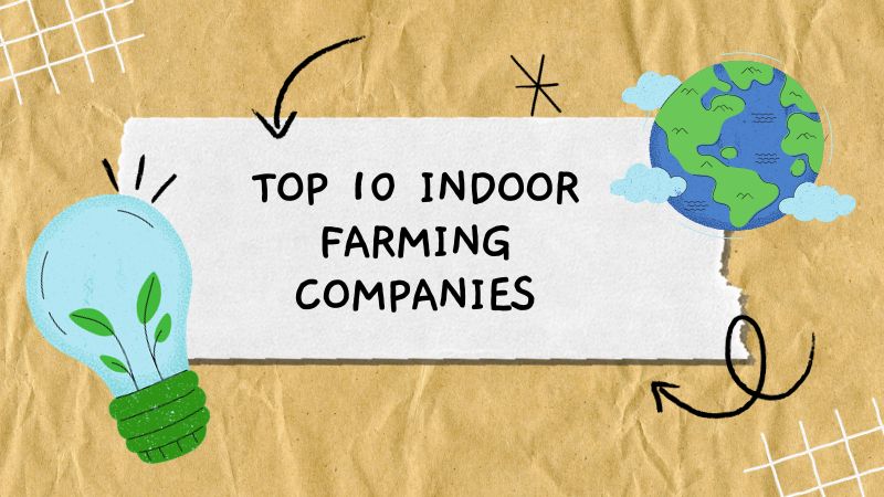 Top 10 Indoor Farming Companies