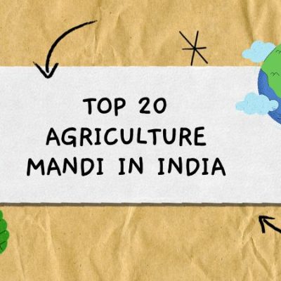 Top 20 Agriculture Mandi in India