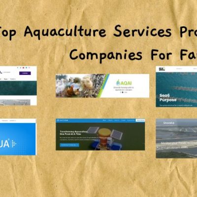 Top Aquaculture Services Provider Companies For Farmers
