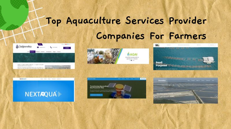 Top Aquaculture Services Provider Companies For Farmers