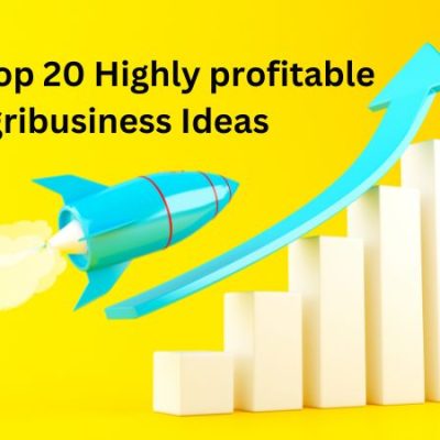 India's Top 20 Highly profitable Agribusiness Ideas