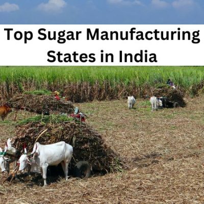 Top Sugar Manufacturing States in India